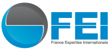 fei-logo